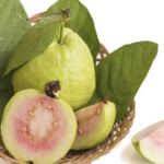 5 Reasons why Guava is Consider as Medicine Fruit