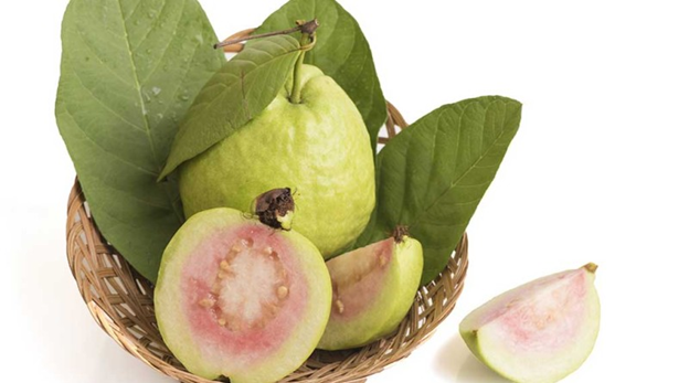 5 Reasons why Guava is Consider as Medicine Fruit