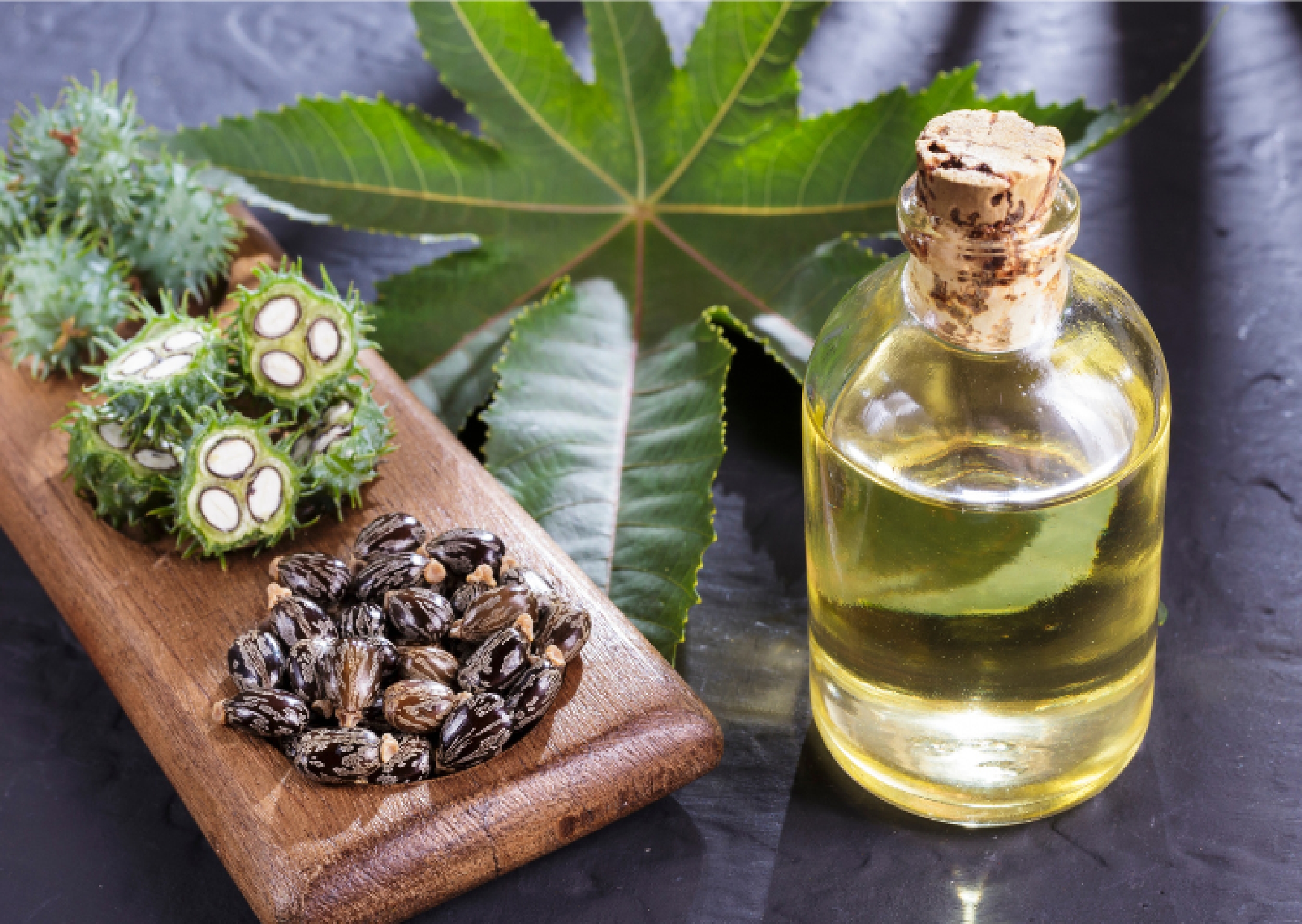 Benefits of Castor Oil