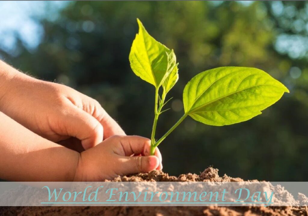 Importance of World Environment Day